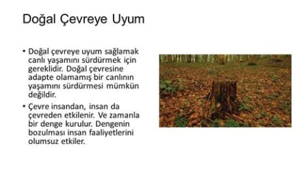 Doğal Ritme Uyum Sağlamak